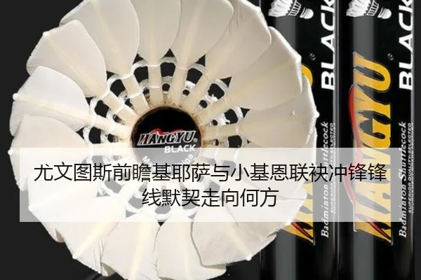 尤文图斯前瞻基耶萨与小基恩联袂冲锋锋线默契走向何方